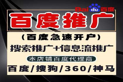 百度推广公司：如何通过精准投放提升品牌影响力